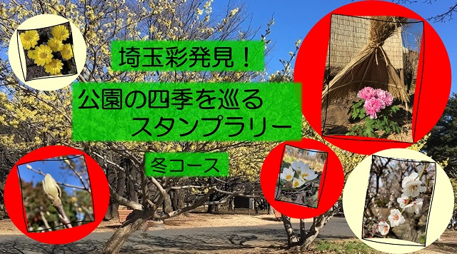 埼玉彩発見！公園の四季を巡るスタンプラリー（冬コース）のイメージ