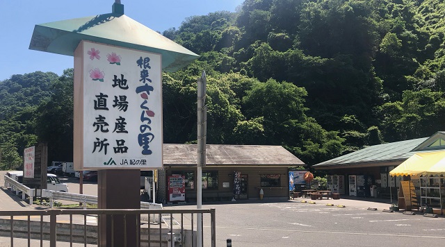 道の駅 根来さくらの里のイメージ