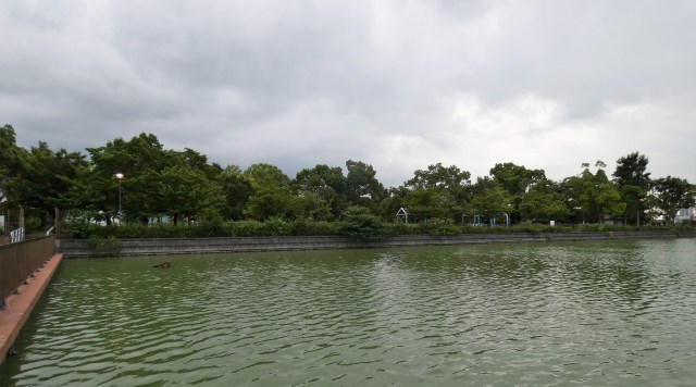 舟渡池公園のイメージ