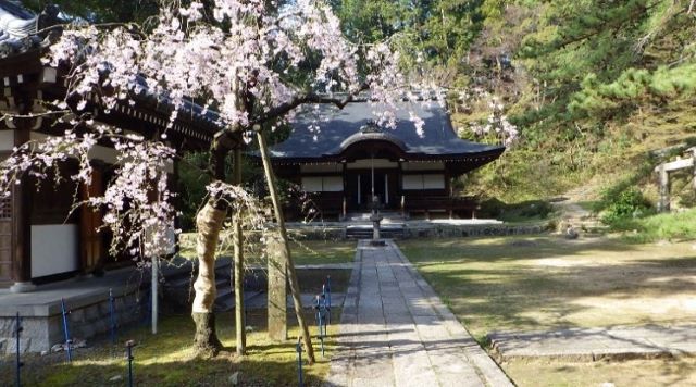 弘川寺のイメージ