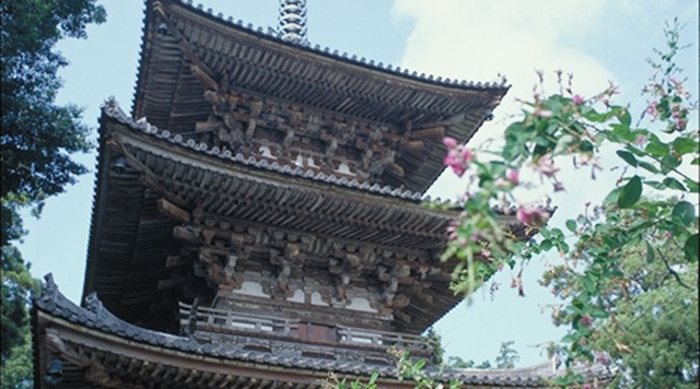百済寺　三重塔のイメージ