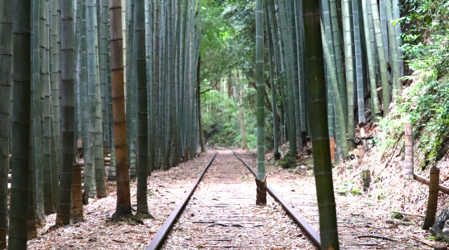 旧国鉄倉吉線廃線跡のイメージ