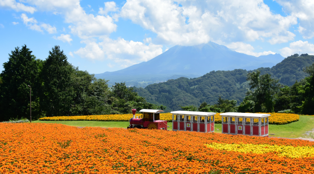 とっとり花回廊のイメージ