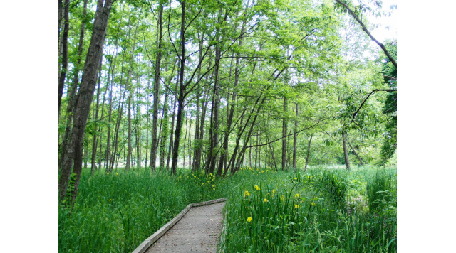 清水洞の上公園のイメージ