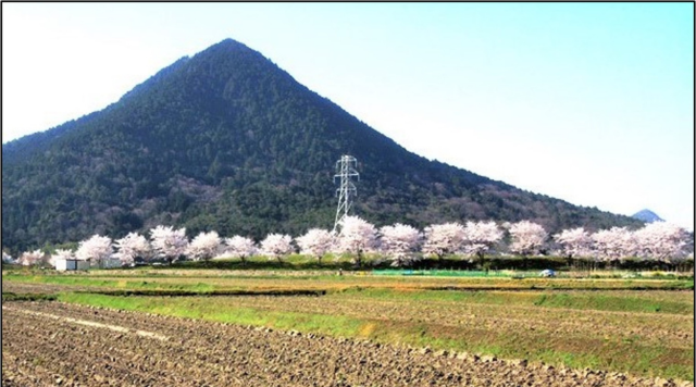 NO.24野洲市南櫻地先農道のイメージ