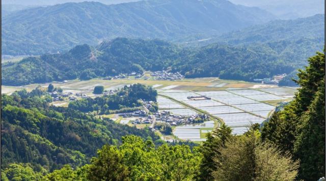 NO.30飯道神社（飯道山）のイメージ