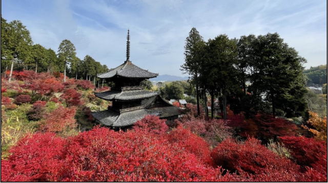NO.29常楽寺のイメージ