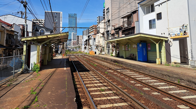 松虫のイメージ