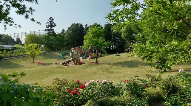東松山ぼたん園のイメージ