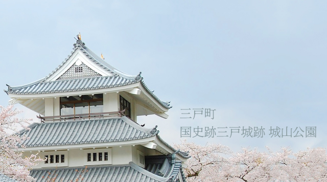 国史跡三戸城跡 城山公園【三戸町】のイメージ