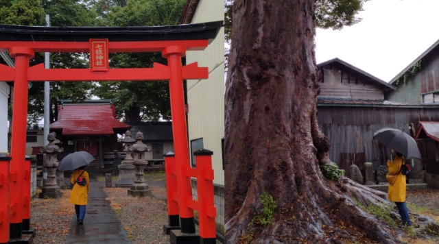 七柱神社のイメージ