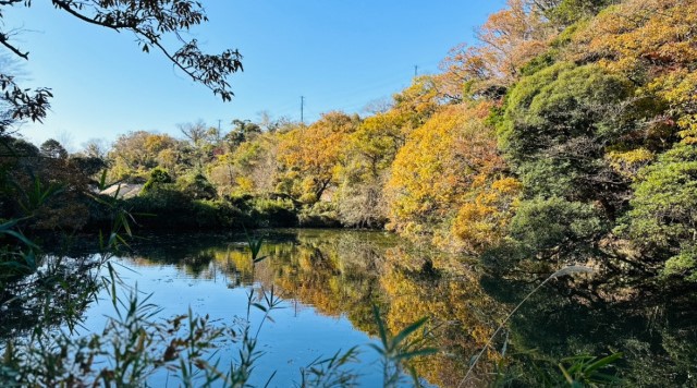久木大池のイメージ