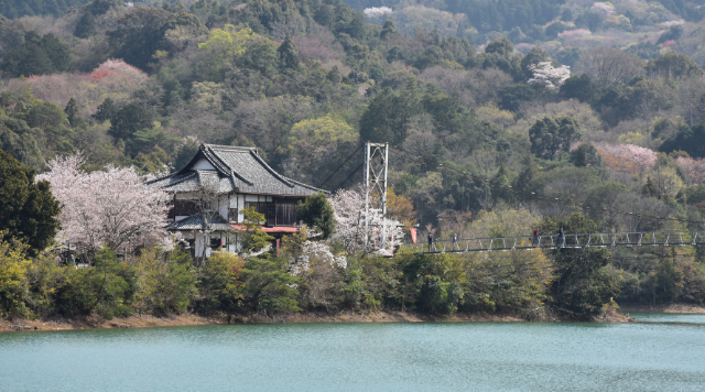 亀池公園のイメージ