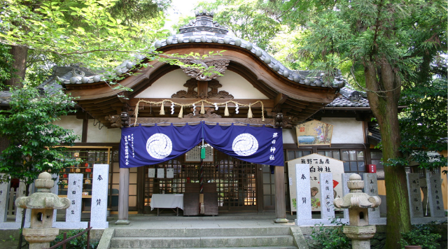 藤白神社のイメージ