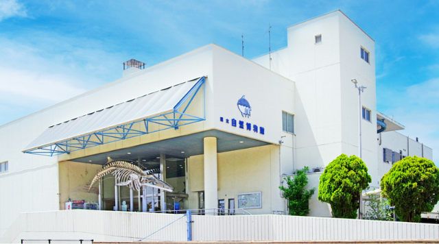 和歌山県立自然博物館のイメージ