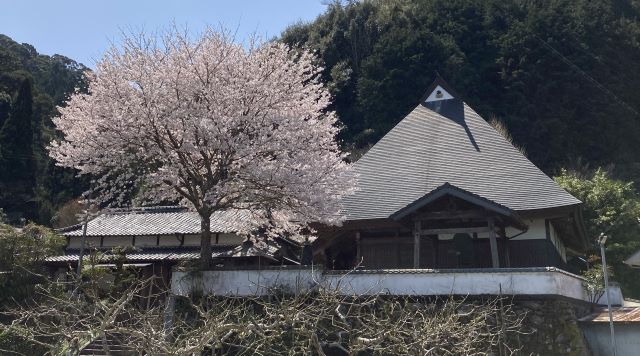 第七番札所　寳光山　玉泉寺のイメージ
