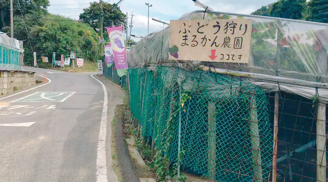 まるかん農園のイメージ