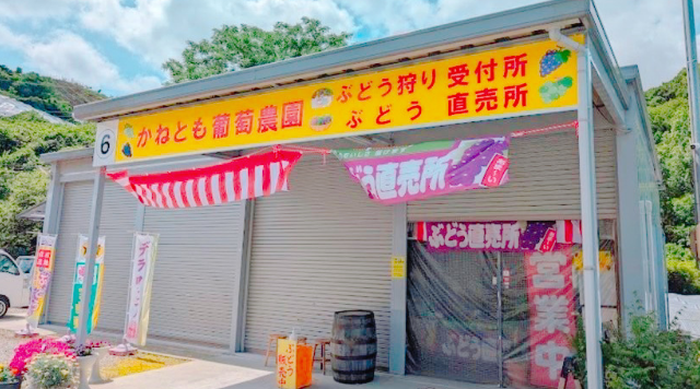 かねとも葡萄農園のイメージ