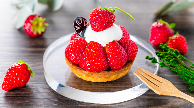 タルトルタのイメージ