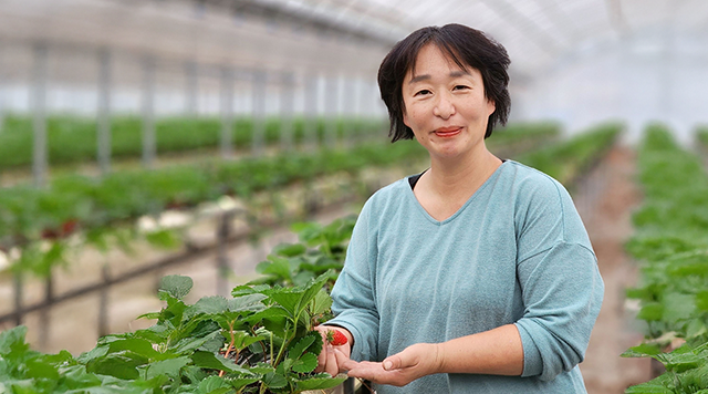 白ゆりファームのイメージ