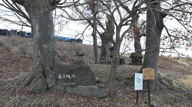 長沼城のイメージ