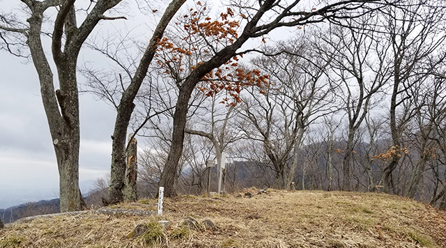 尼厳城のイメージ
