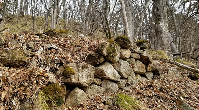 旭山城のイメージ