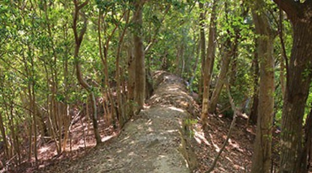 【熊野古道大辺路エリア（Ｄ）】長井坂コースのイメージ