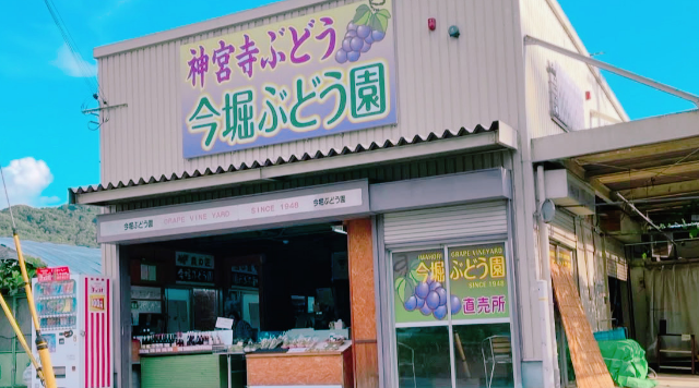 今堀ぶどう園のイメージ
