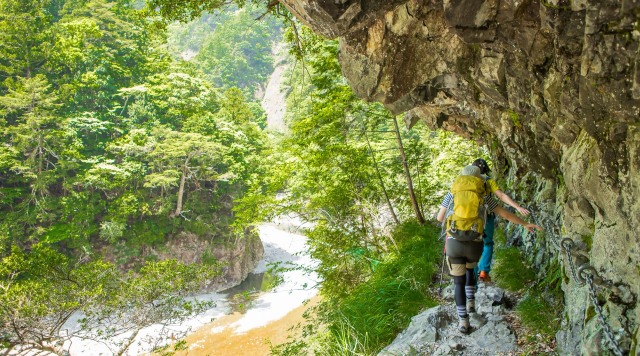 大杉谷登山センターのイメージ