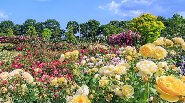 松阪農業公園ベルファームのイメージ