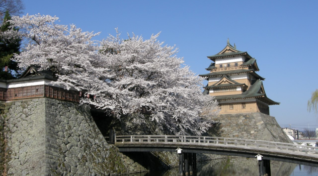 諏訪高島城のイメージ