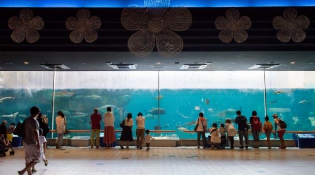 神戸市立須磨海浜水族園のイメージ