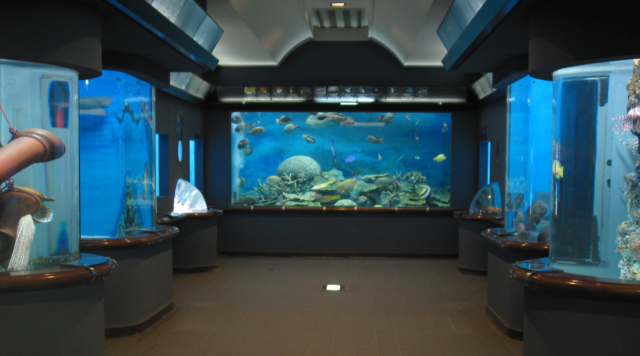 渋川マリン水族館のイメージ