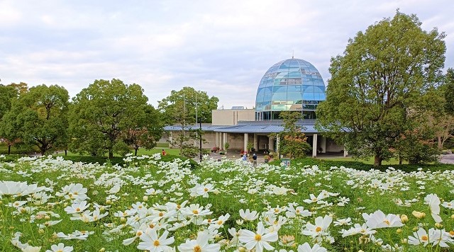 馬見丘陵公園中央エリア入口のイメージ