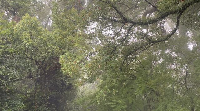 新田神社のイメージ