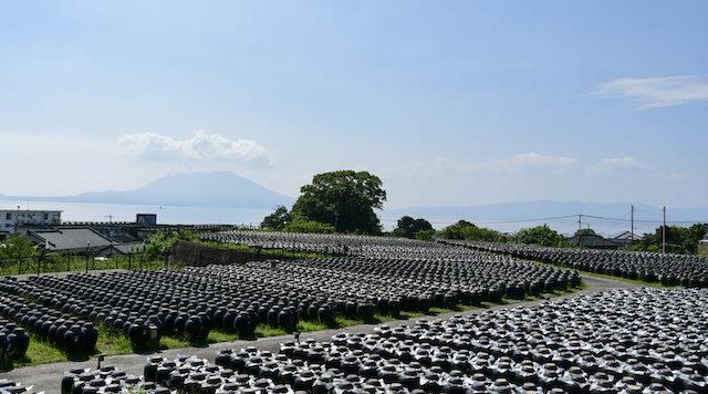 黒酢の壺畑のイメージ