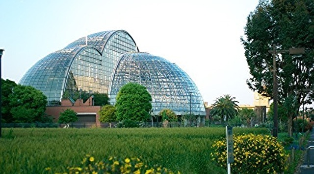 夢の島熱帯植物館のイメージ