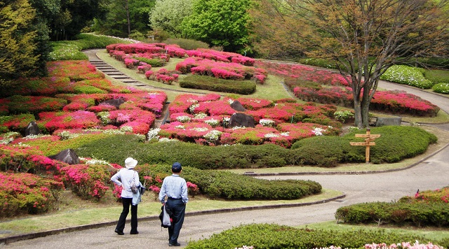 錦織公園のイメージ