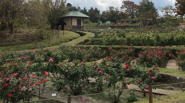 浜寺公園のイメージ