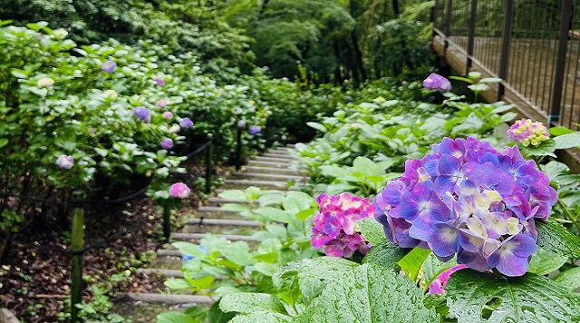 長野公園のイメージ