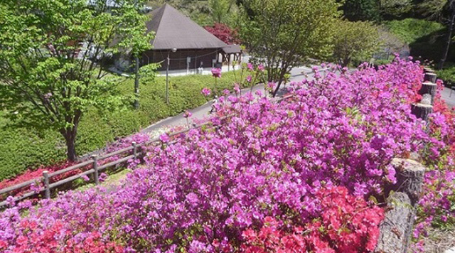 轟公園のイメージ