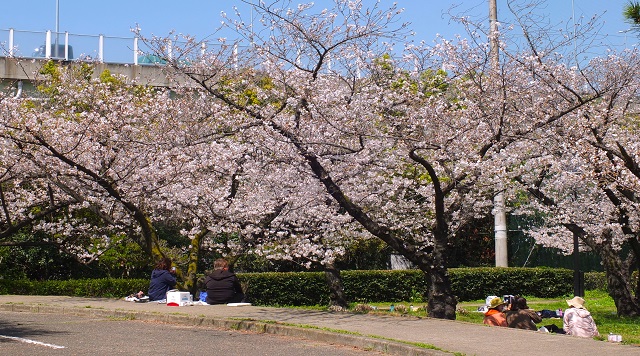 助松公園のイメージ
