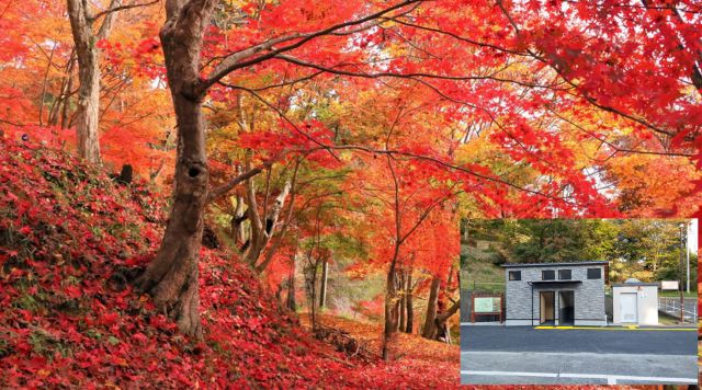 【観光地】最上山公園 もみじ山のイメージ