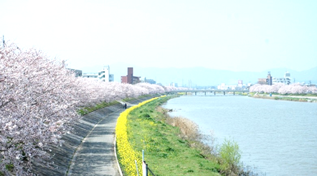 今川サイクリングロードのイメージ