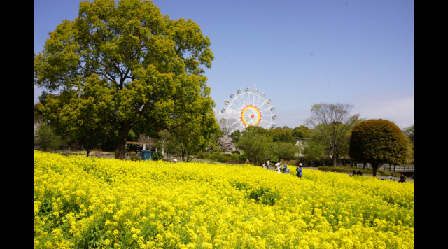 熊本市動植物園のイメージ
