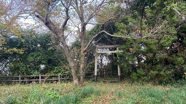 勝山城のイメージ