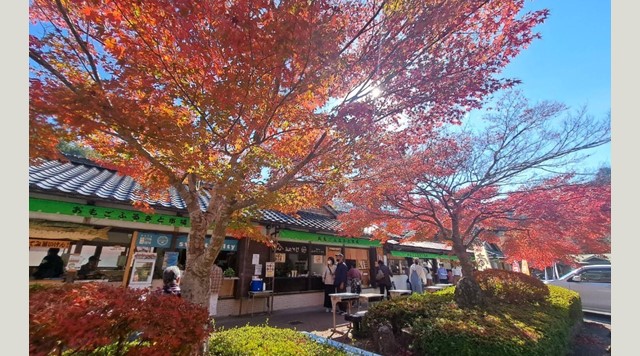 【久万高原町】おもごふるさとの駅（12月以降休業）のイメージ