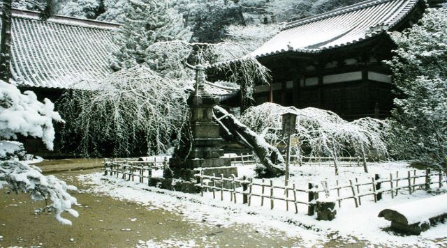 高貴寺のイメージ