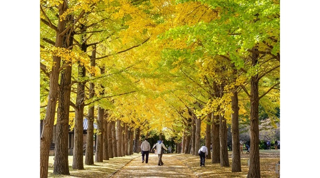 茨城県立歴史館のイメージ
